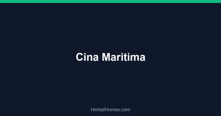 Cina Maritima