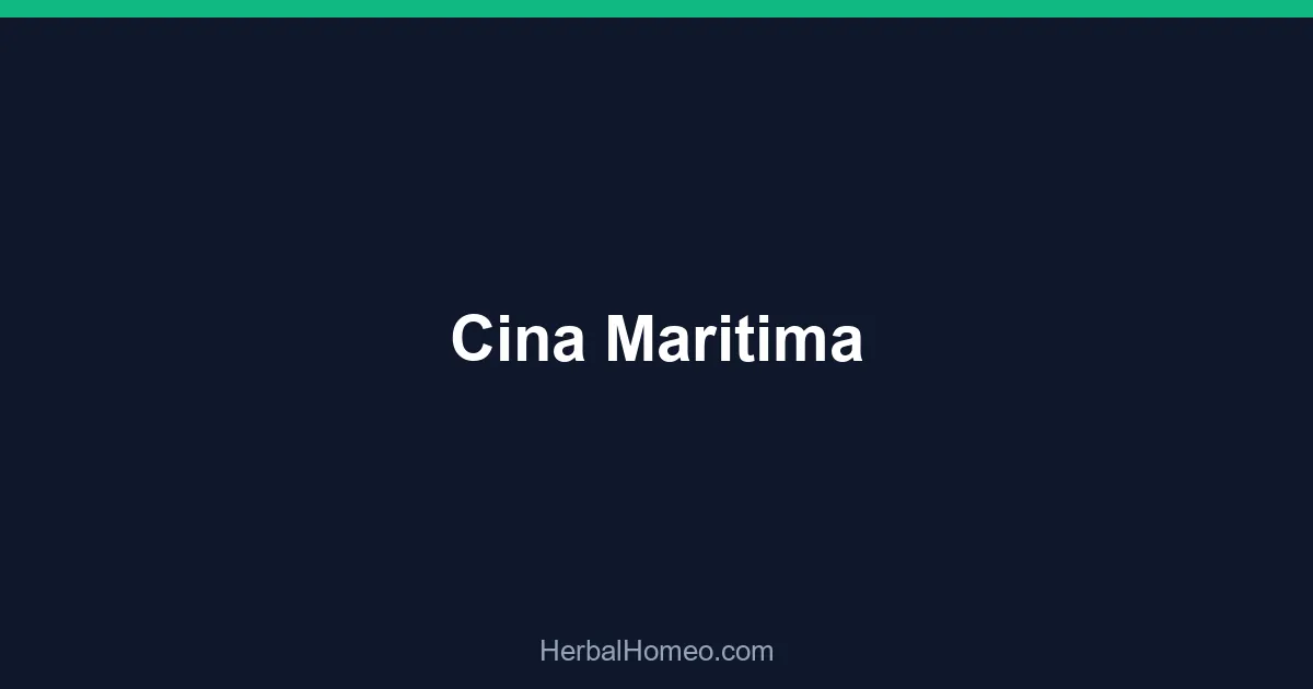 Cina Maritima