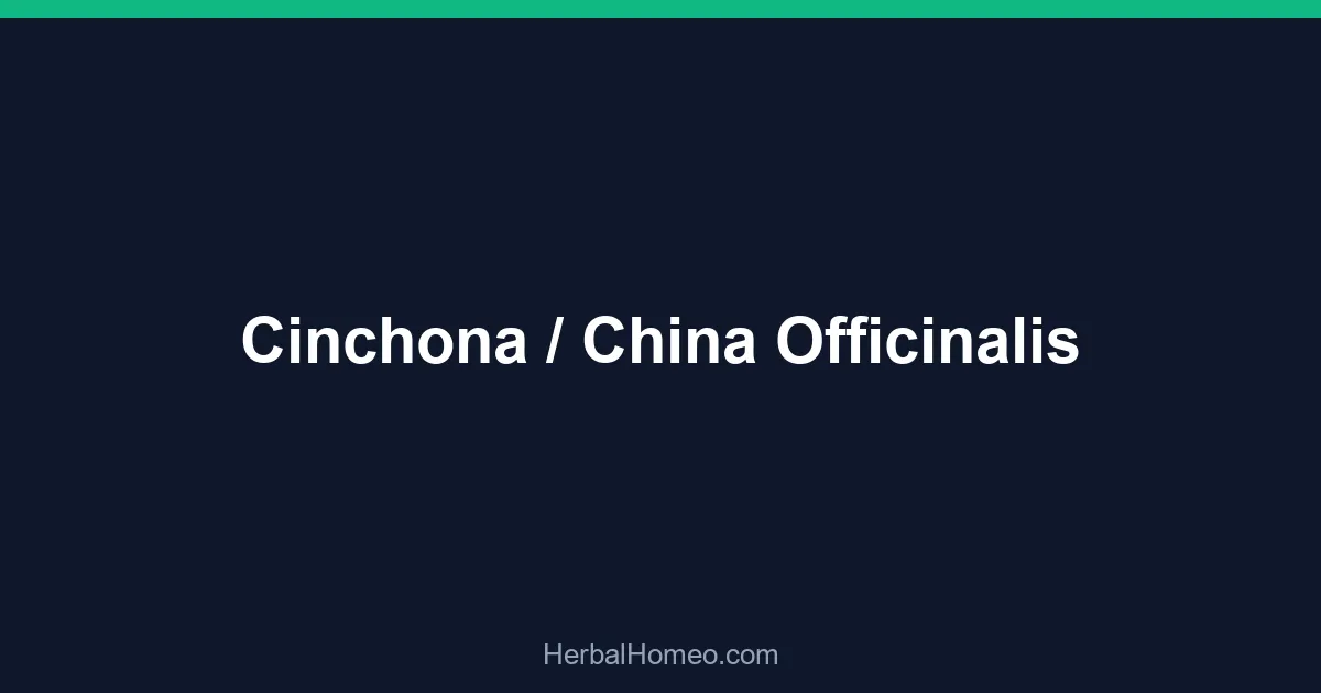 Cinchona / China Officinalis