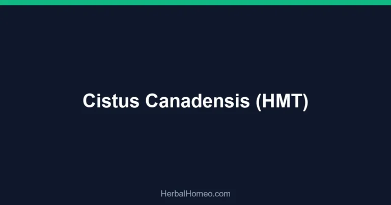 Cistus Canadensis (HMT)