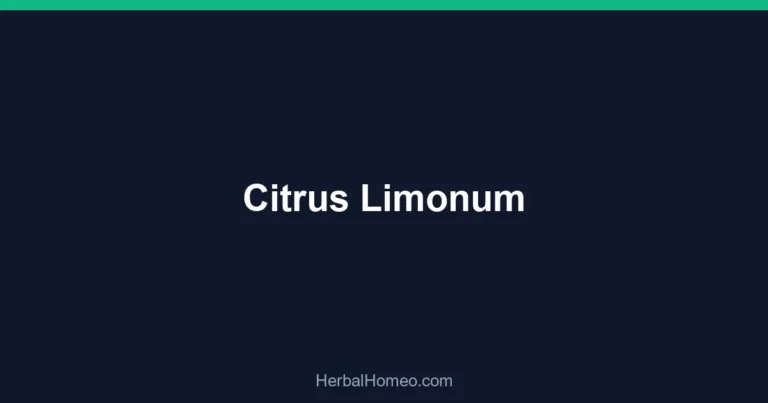 Citrus Limonum