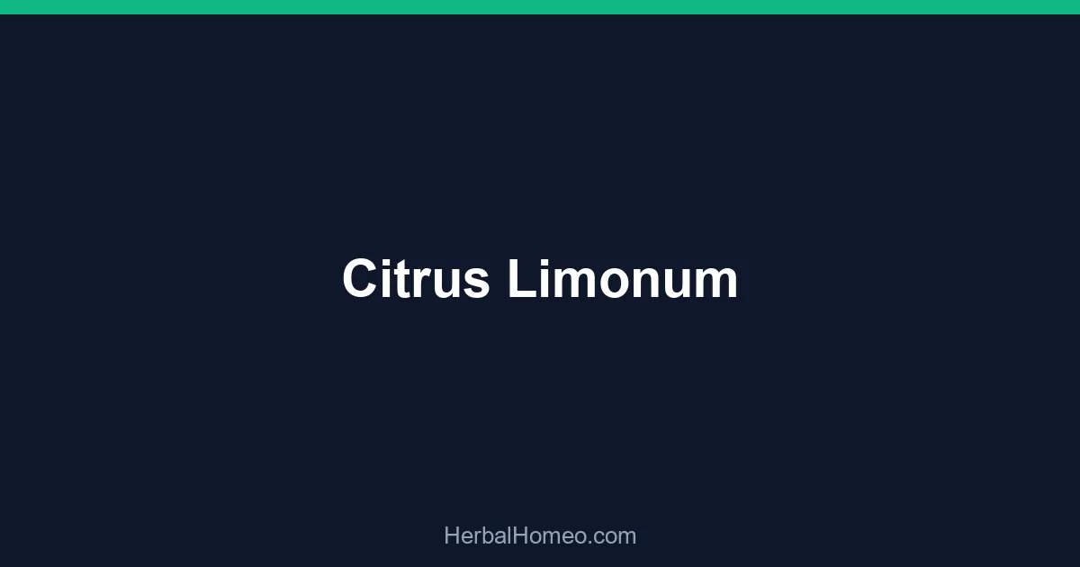 Citrus Limonum