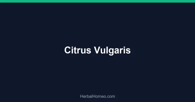Citrus Vulgaris