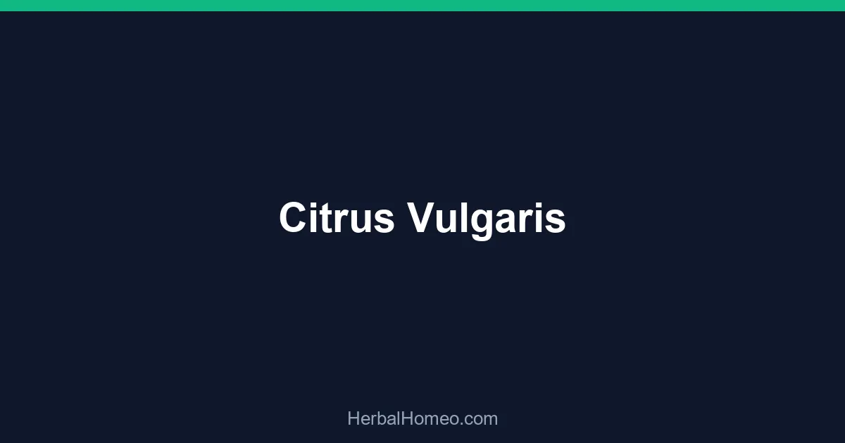 Citrus Vulgaris