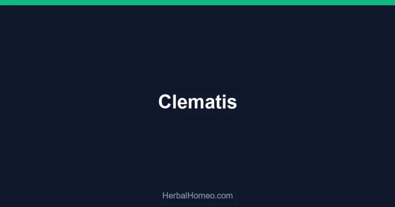 Clematis
