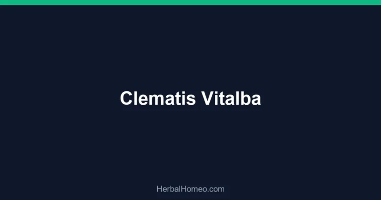 Clematis Vitalba