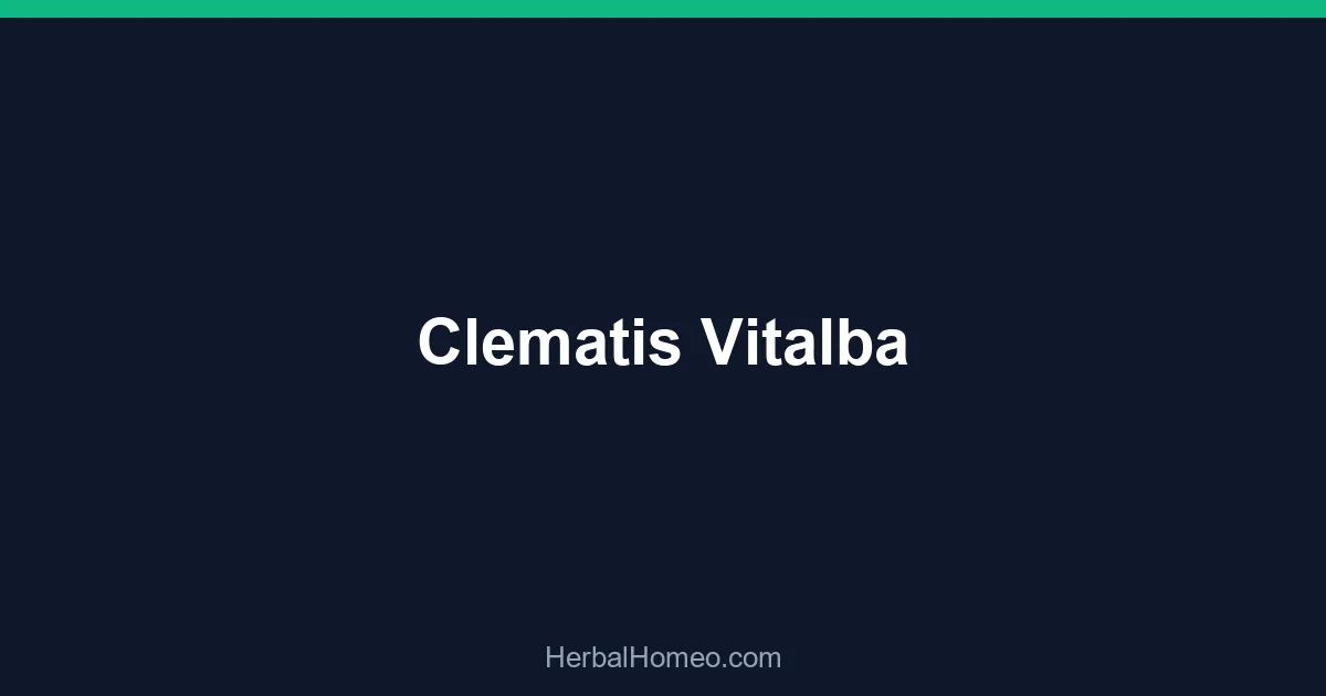 Clematis Vitalba