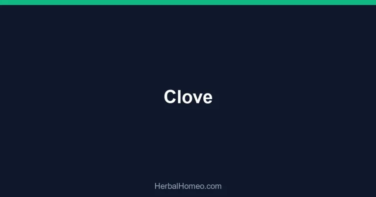 Clove