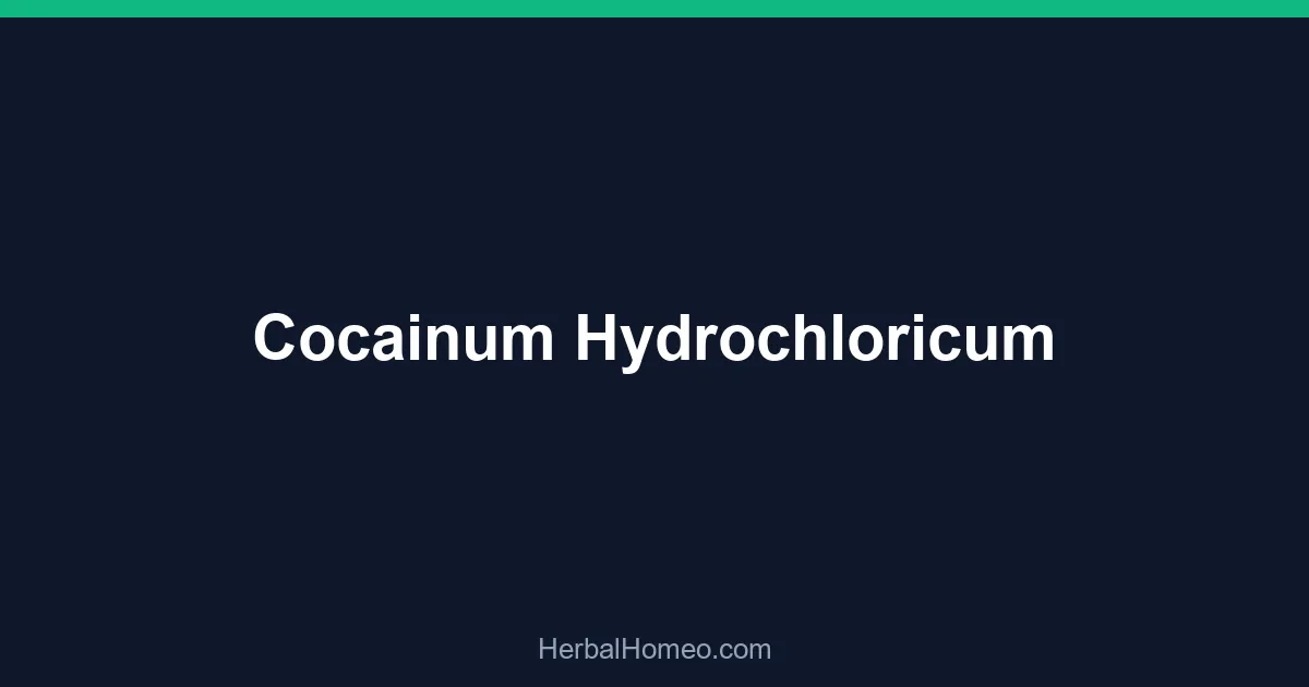 Cocainum Hydrochloricum