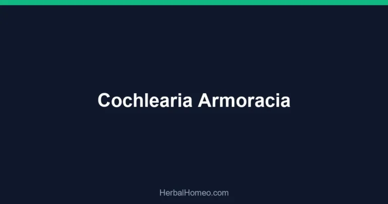 Cochlearia Armoracia