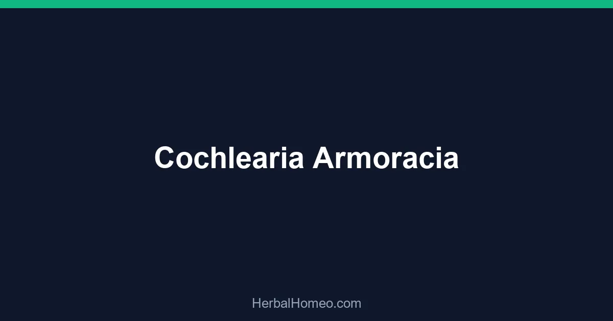 Cochlearia Armoracia