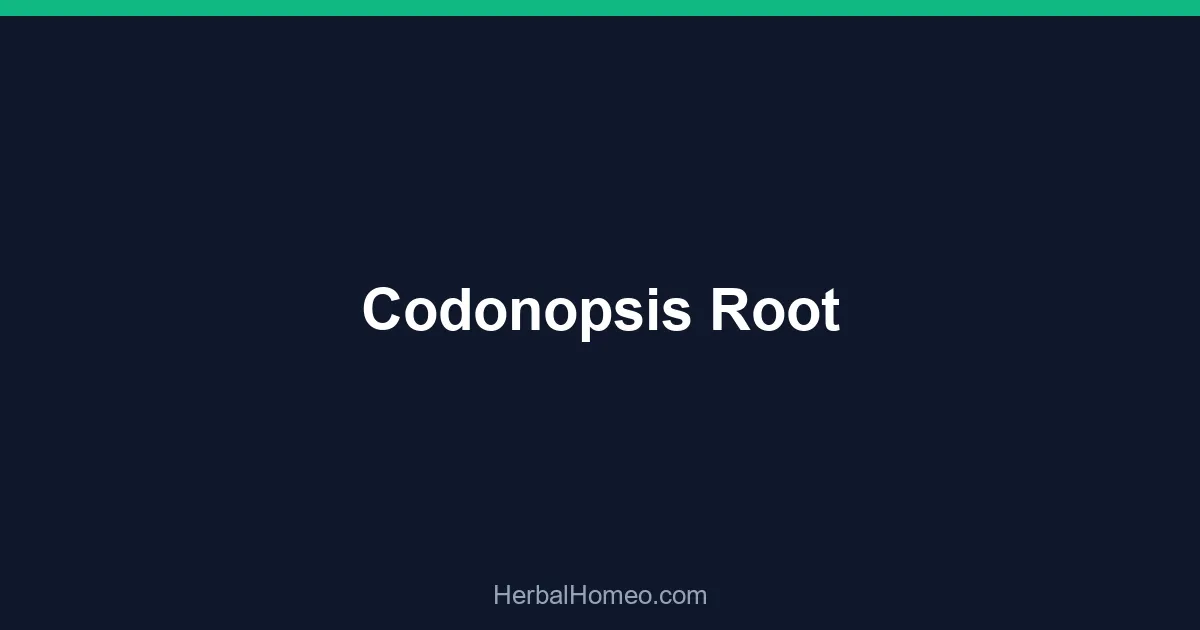 Codonopsis Root