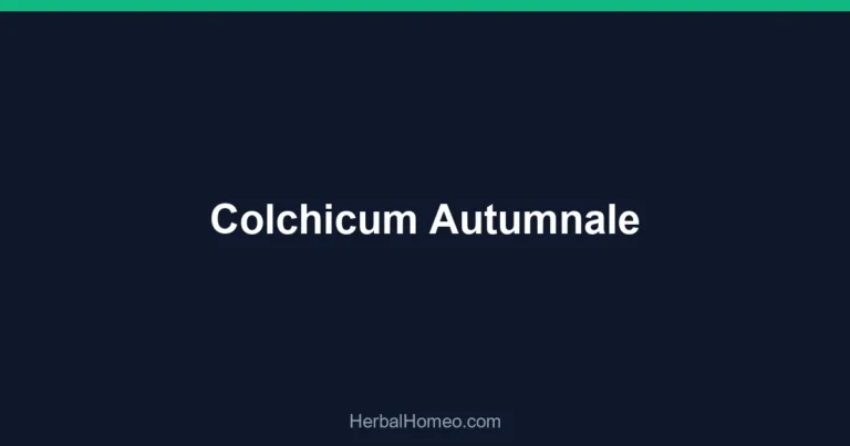 Colchicum Autumnale