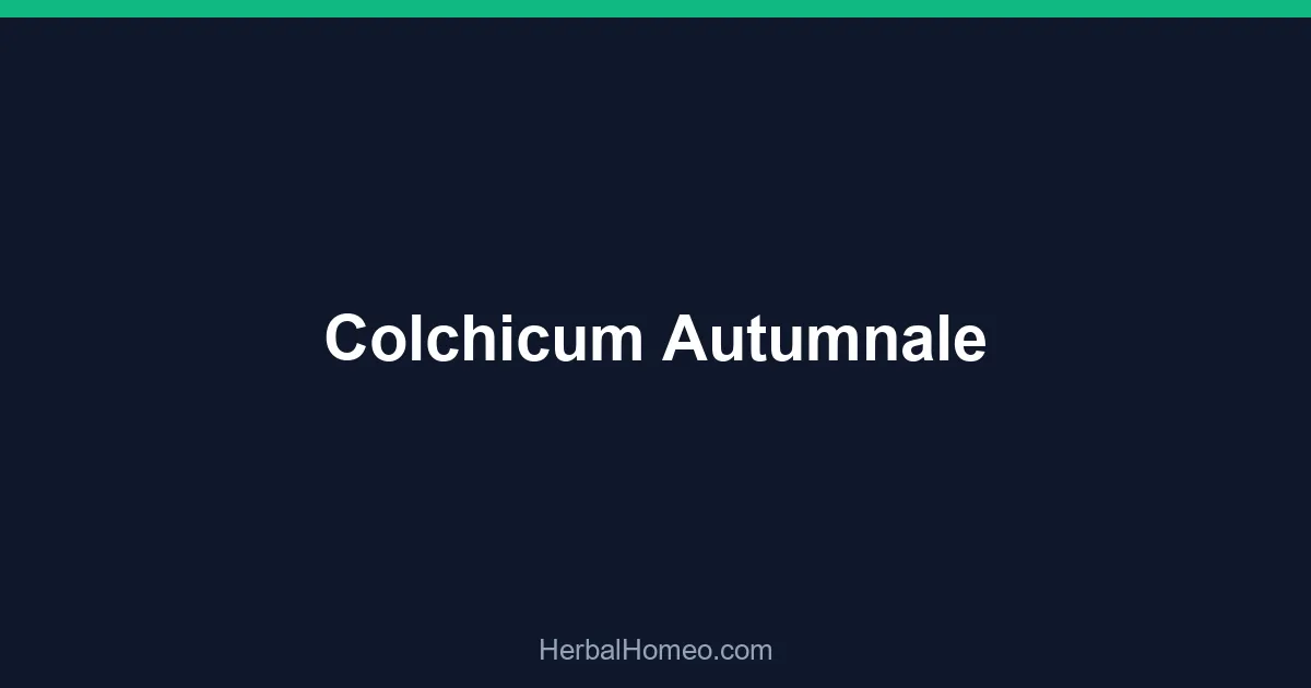 Colchicum Autumnale