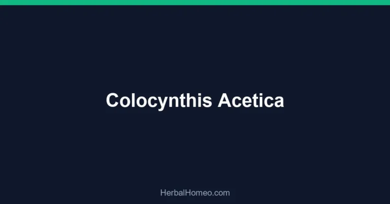 Colocynthis Acetica