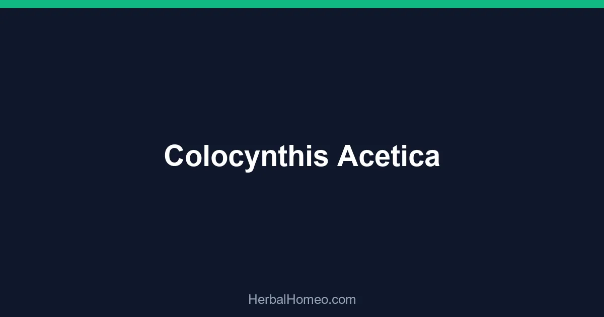 Colocynthis Acetica