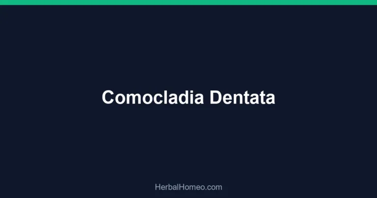 Comocladia Dentata