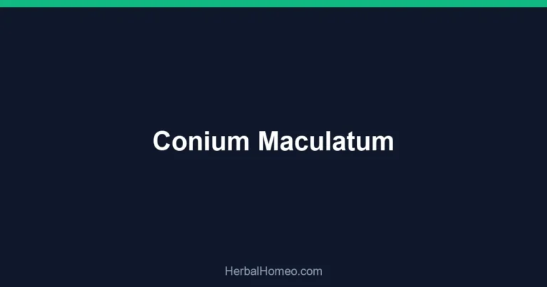 Conium Maculatum