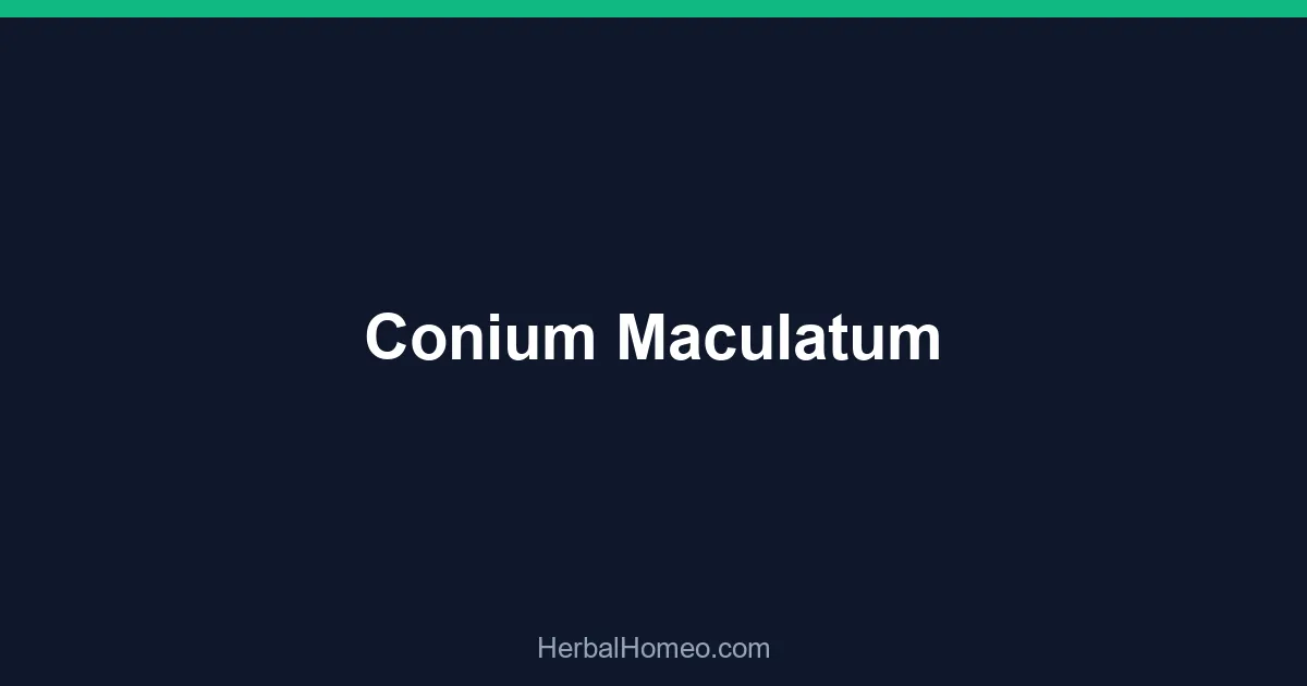 Conium Maculatum