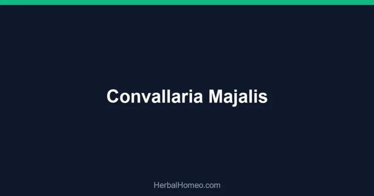 Convallaria Majalis