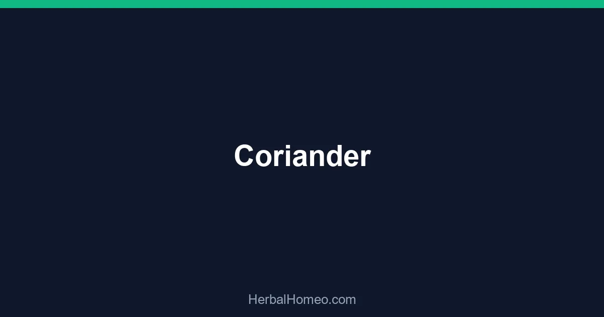 Coriander