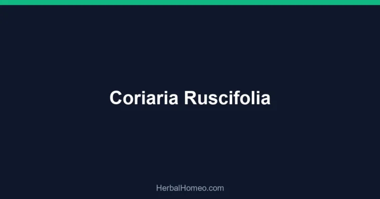 Coriaria Ruscifolia
