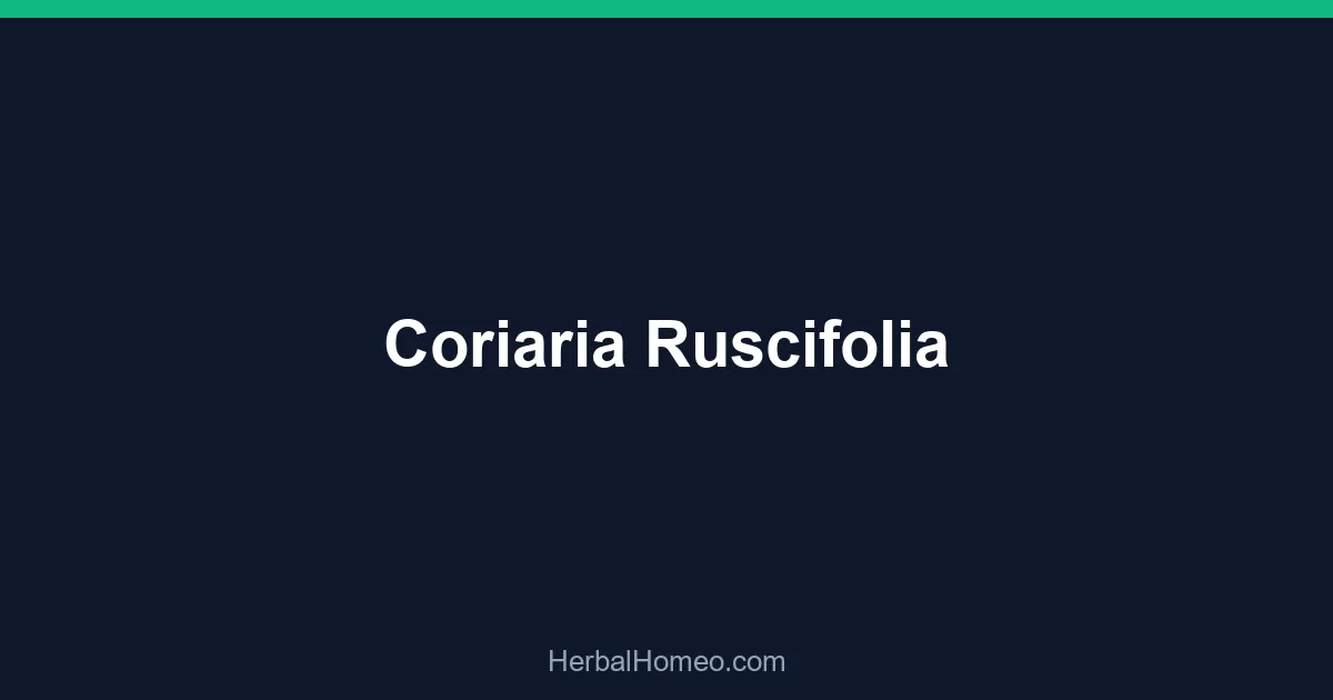 Coriaria Ruscifolia