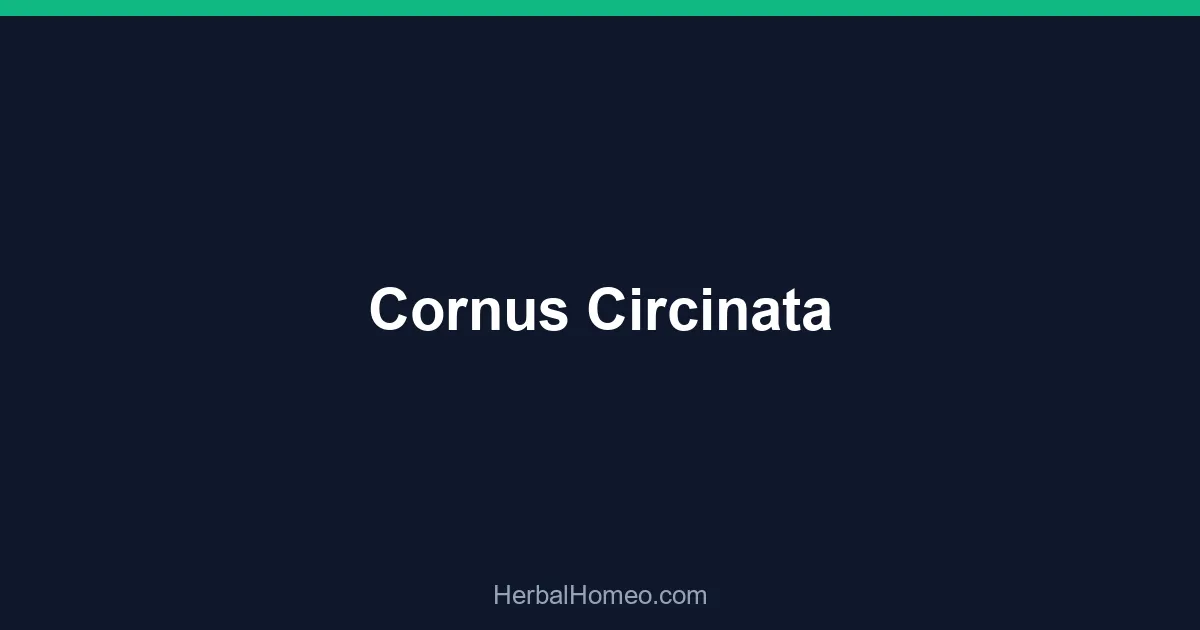 Cornus Circinata