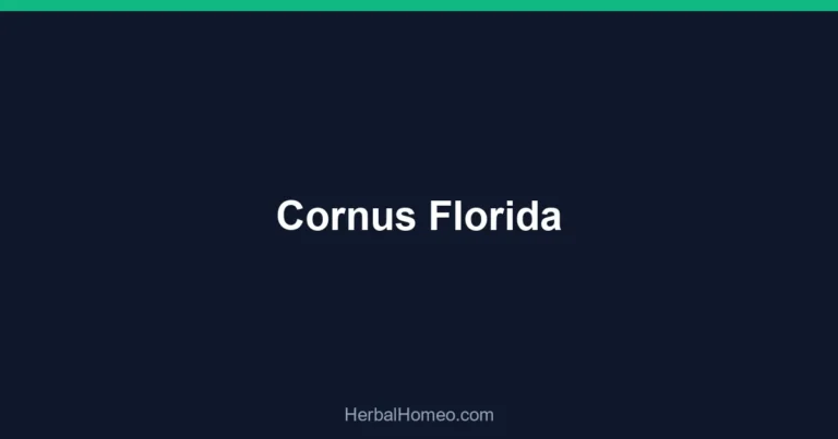 Cornus Florida