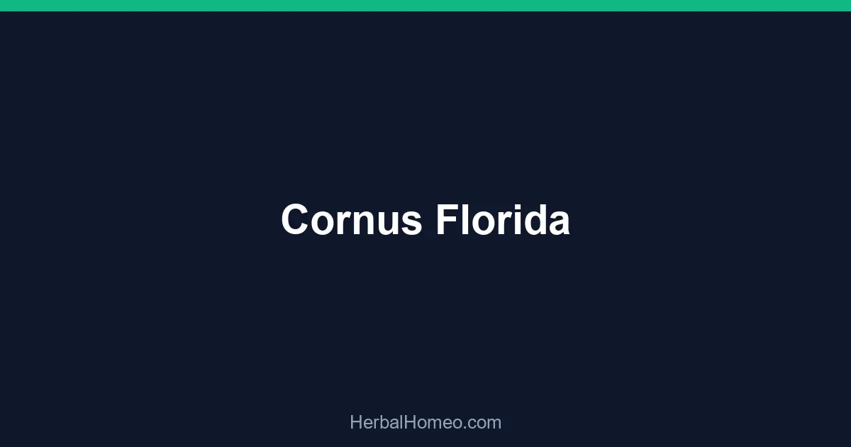 Cornus Florida