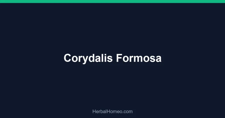 Corydalis Formosa