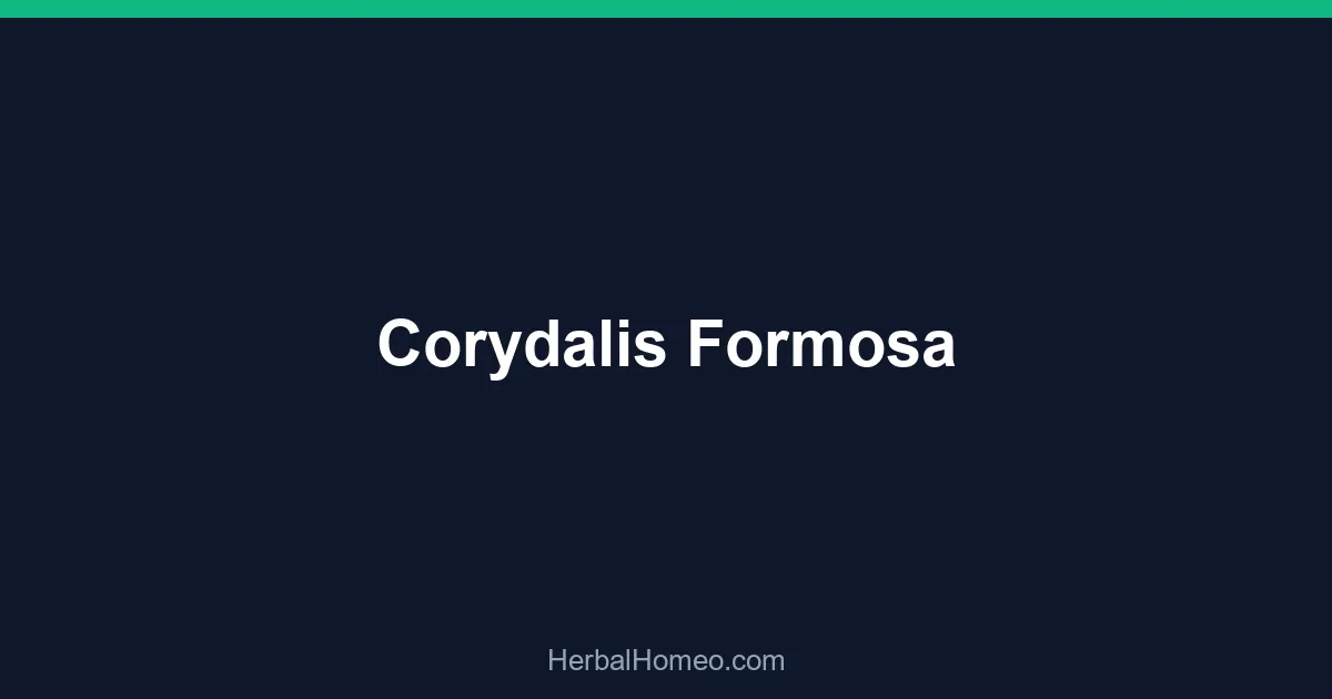Corydalis Formosa