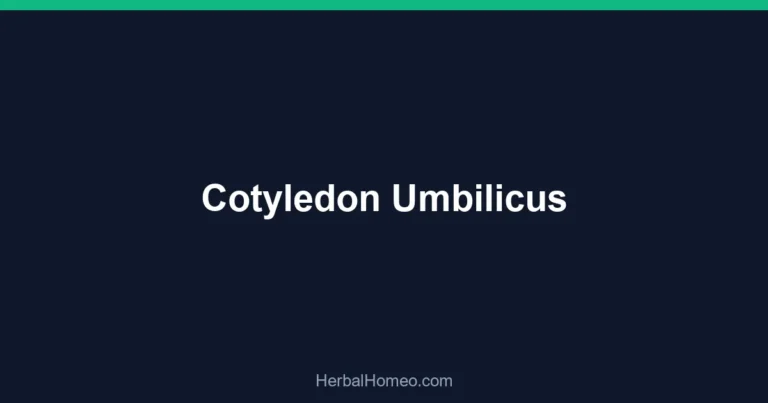 Cotyledon Umbilicus