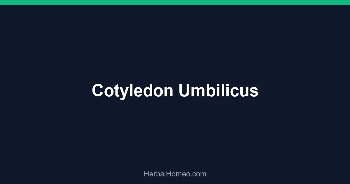 Cotyledon Umbilicus