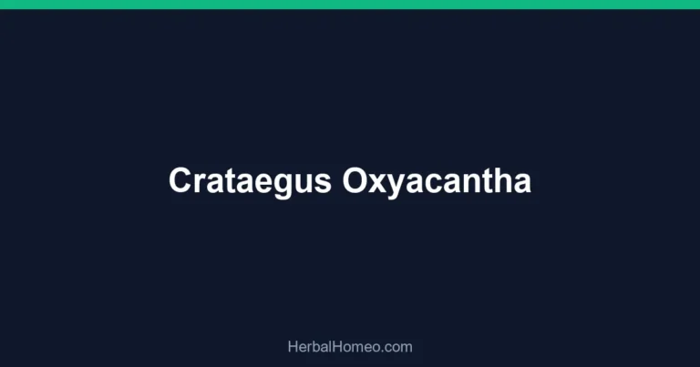 Crataegus Oxyacantha