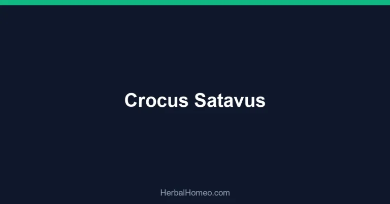 Crocus Satavus