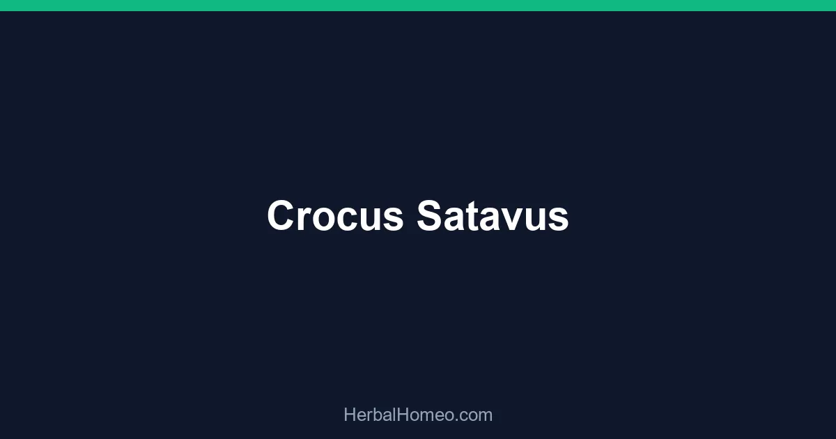 Crocus Satavus