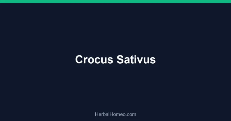 Crocus Sativus