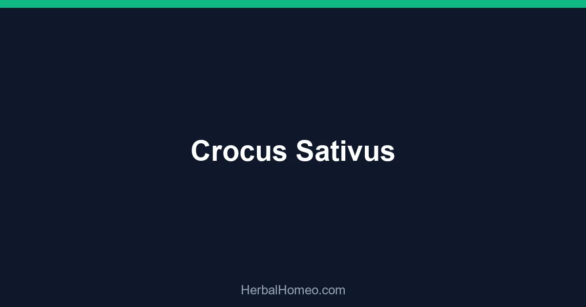 Crocus Sativus