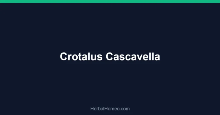 Crotalus Cascavella