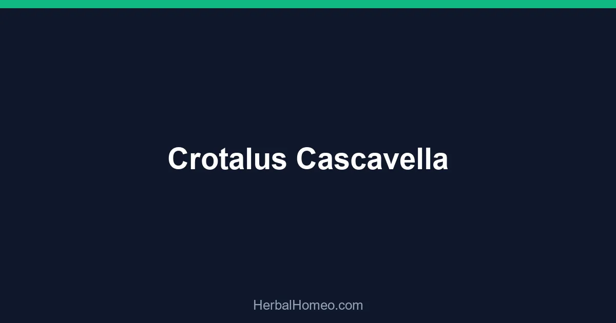 Crotalus Cascavella