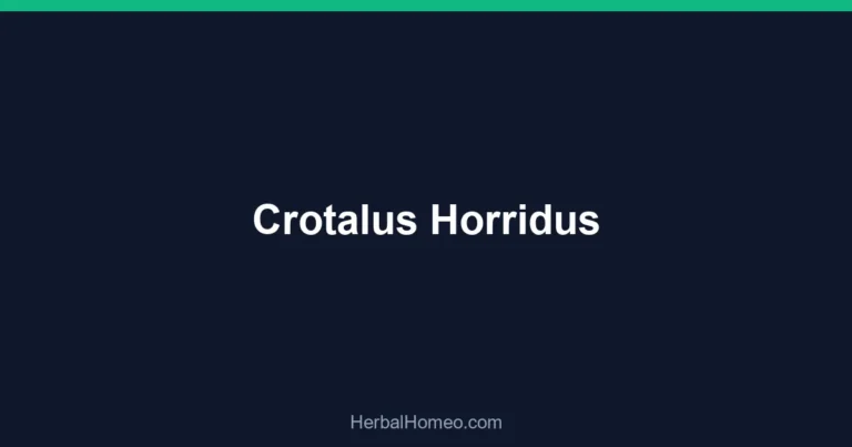 Crotalus Horridus