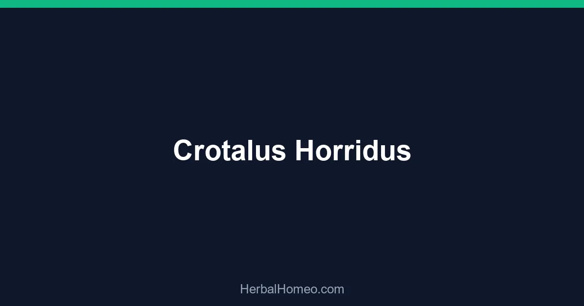 Crotalus Horridus