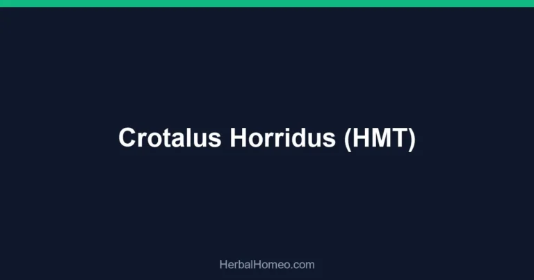 Crotalus Horridus (HMT)
