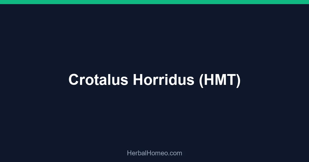 Crotalus Horridus (HMT)