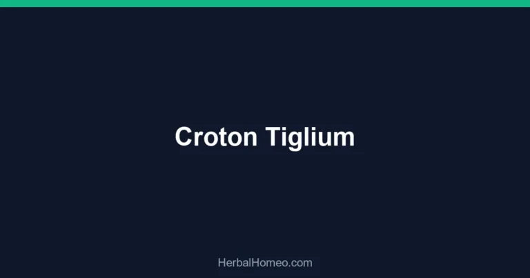 Croton Tiglium