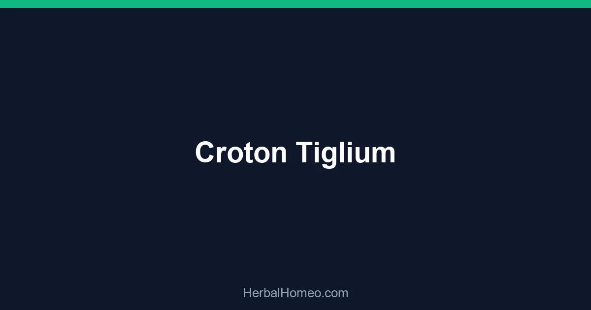 Croton Tiglium