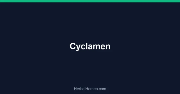 Cyclamen