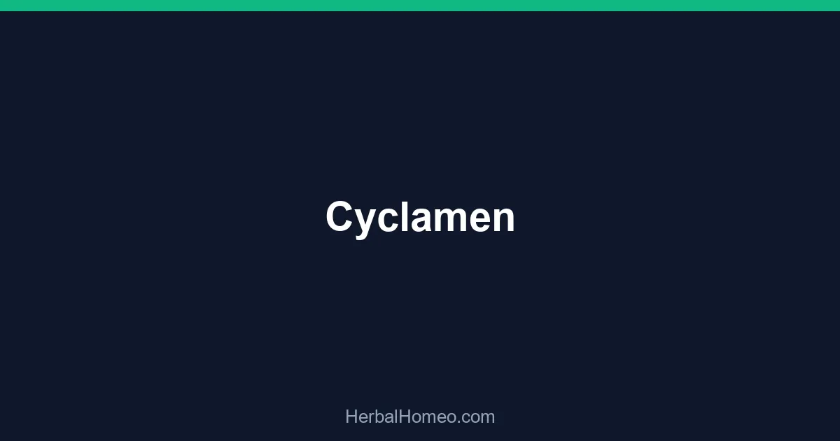 Cyclamen