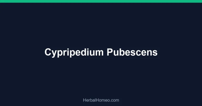 Cypripedium Pubescens